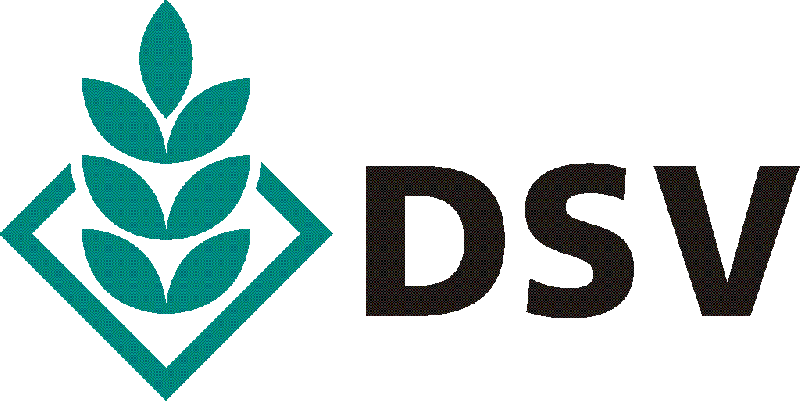 dsv-logo-rgborig